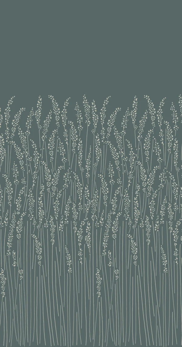 Feather Grass