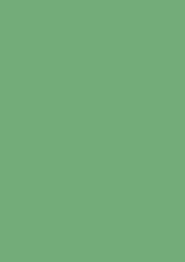 Emerald Green No. W53 - Image 3