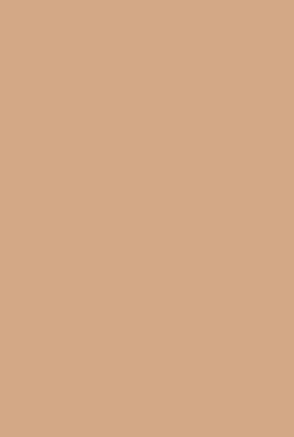 Fake Tan No. 9912 - Image 2