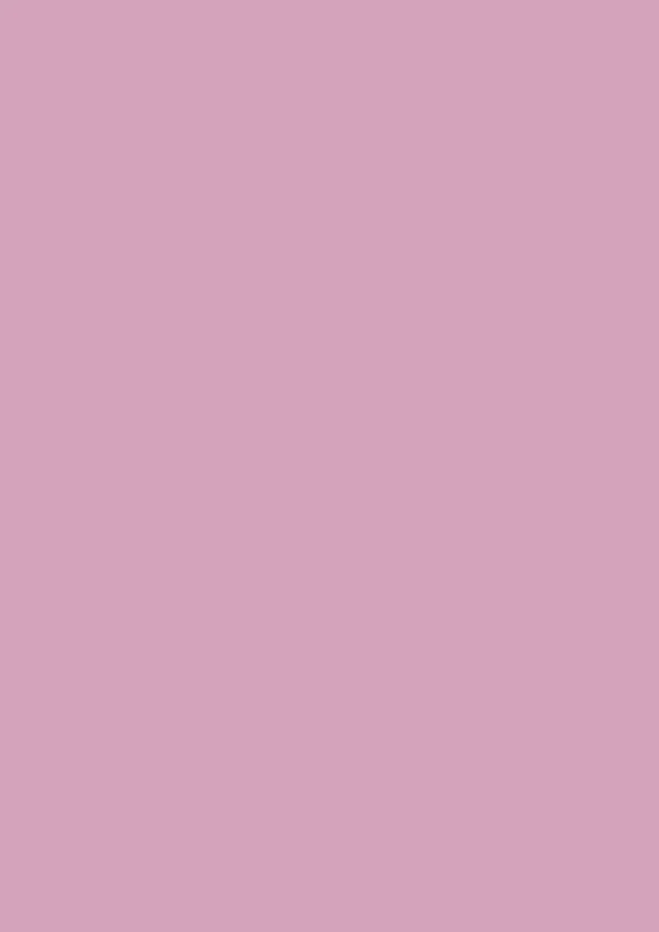 Shallot No. CB3 - Image 3